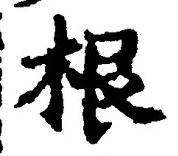 文字根