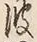 “波”字