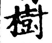 「樹」字