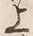 「上」字