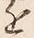 Character 近