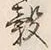 Character 米