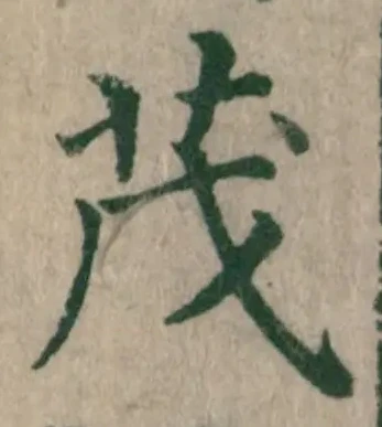 已定位茂