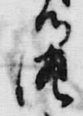 文字 御