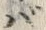 字バ