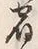 文字宿