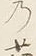 字蘊