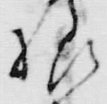 文字様