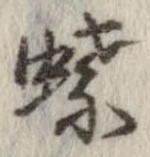 位置定マレル蝶