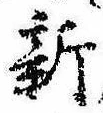 已定位新