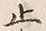 文字止