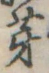 位置 確認된 芽