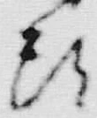 𡨸頭