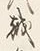 字バ