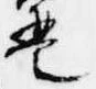 Đã định vị 琶