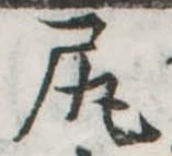 已定位尻