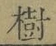 Chữ 樹