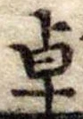Đã định vị 卓