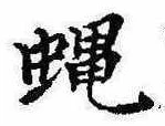 Đã định vị 蝿