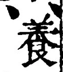 「養」字