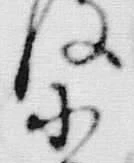 文字皮