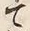 Character 貯