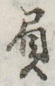 Đã định vị 屓