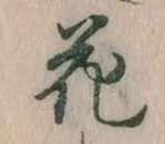 位置 確認된 花