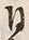 「本」字