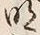 文字後