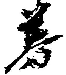 券の位置