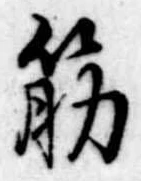筋の位置