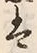 Chữ 死