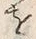 Character 故