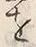 𡨸捨