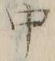 字中