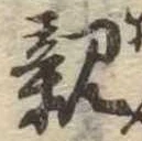 已定位親