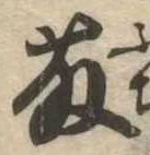 已定位藤
