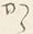 Character た
