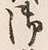 “楊”字