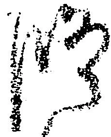 Đã định vị 修