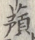 已定位蕷