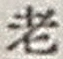 文字老
