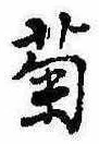 已定位菊