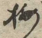 已定位梅