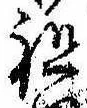 Đã định vị 祖