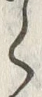 𡨸動