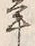 文字 年