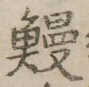 已定位鰻