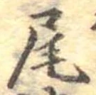 Located 尾
